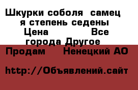 Шкурки соболя (самец) 1-я степень седены › Цена ­ 12 000 - Все города Другое » Продам   . Ненецкий АО